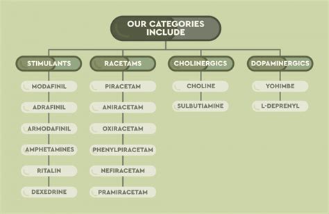 A Complete Guide to Smart Pills | Lucid