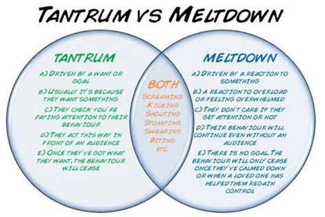 Is it a Meltdown or a Tantrum? - Integrative Counseling Solutions ...