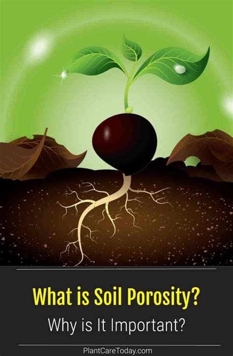 What is Soil Porosity? Why Its Important And How To Improve It | Soil, Soil activities, Porosity