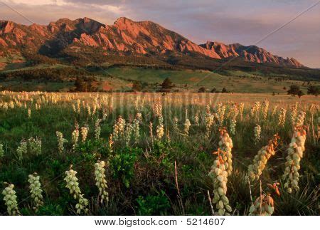 Boulder Colorado Image & Photo (Free Trial) | Bigstock