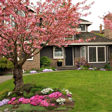 10 Clever Tips for Landscaping Around Trees | Trees for front yard, Landscaping around trees ...