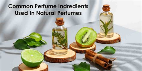 Common Perfume Ingredients Employed In Natural Perfumes - Adiveda Natural