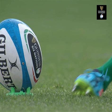 Irelandrugby GIFs - Find & Share on GIPHY