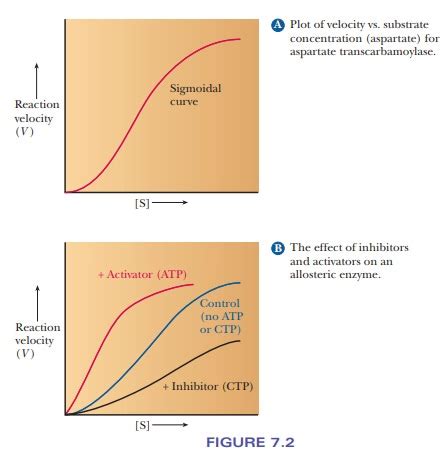 Allosteric Inhibition Graph