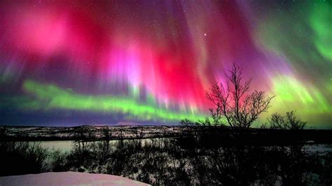 Everything You Need To Know About The Northern Lights