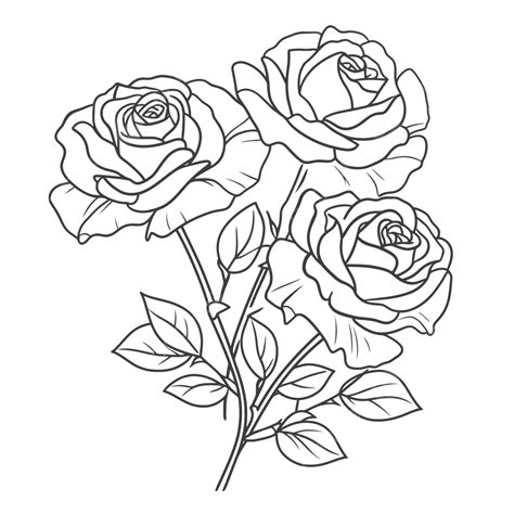 Drawing Of Three Roses Coloring Pages Outline Sketch Vector Roses 46280 | The Best Porn Website