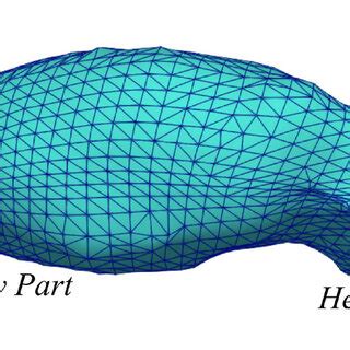 Shape of the asteroid Bennu with digitised edges. | Download Scientific ...