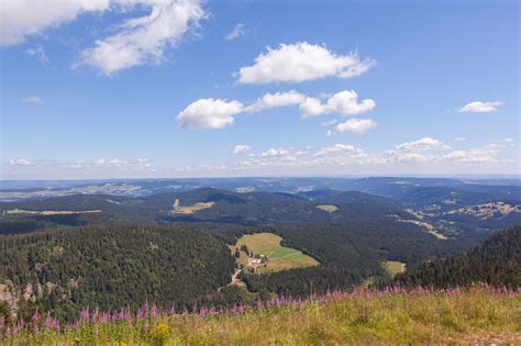 Feldberg Climb (Feldbergsteig) • Hikes » outdooractive.com