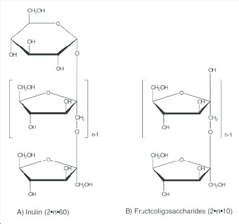 Structure of (a) inulin and (b) fructooligosaccharides , where n ...