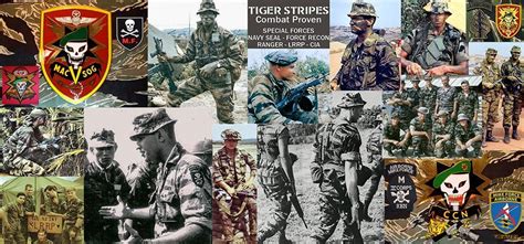 Tiger Force Uniform Images - Rizop