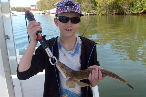 Noosa River Weekly Fishing Report - Noosa Fishing and Crab Adventures