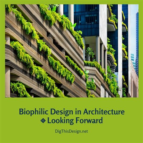 Biophilic Architecture Concept Sheet - Image to u