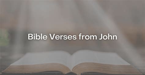 53+ Bible Verses from John