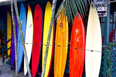 Surfing 101: Types of Surfboards - Everyday California