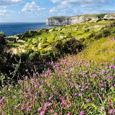 Gozo Hiking Trails: Exploring the Best Coastal Walks