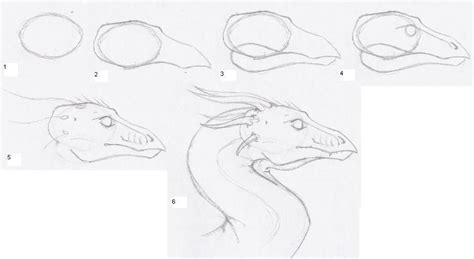 Dragon Head Tutorial by shiari on DeviantArt | Dragon wall art, Dragon ...