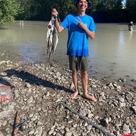 Puyallup River Fishing 2025 - Aurea Charlotta