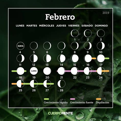 Calendario Lunar Febrero 2023 Para Cortar Cabello Flecos - IMAGESEE