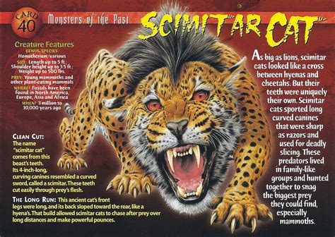 Scimitar Cat | Weird n' Wild Creatures Wiki | Fandom