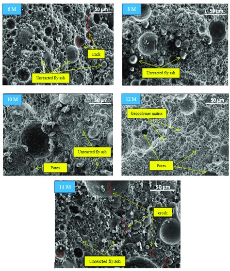 Microstructural image of the fly ash geopolymer aggregate with ...