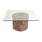 Mussutaiba Tree Trunk Dining Table + Glass Top - Rotsen Furniture ...