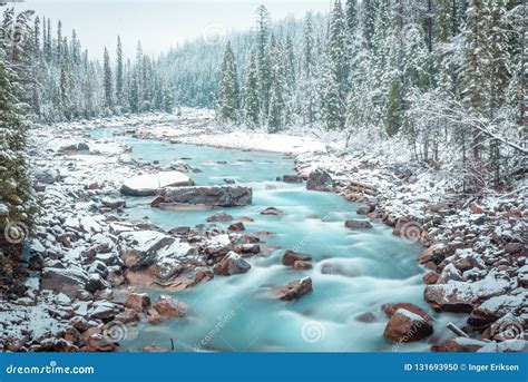 Winter Scenes from Yoho National Park, Canada Stock Photo - Image of white, cold: 131693950