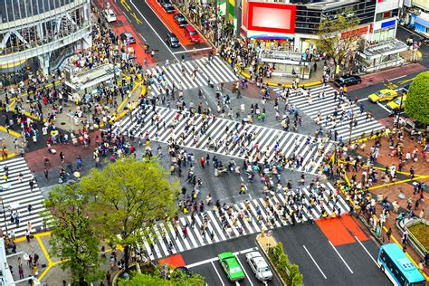 Monumentos de Tokio: 5 Atracciones Turísticas y Lugares para Visitar