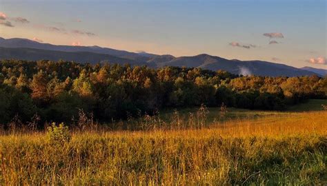 Fall Foliage Report - Virginia Is For Lovers