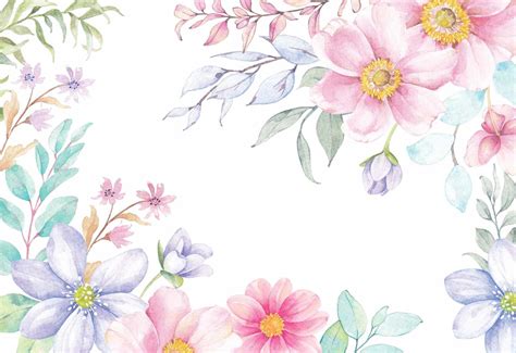 Watercolor Flowers Wallpapers and Backgrounds 4K, HD, Dual Screen