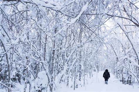 Building a Snow Igloo - Lapland Welcome in Finland