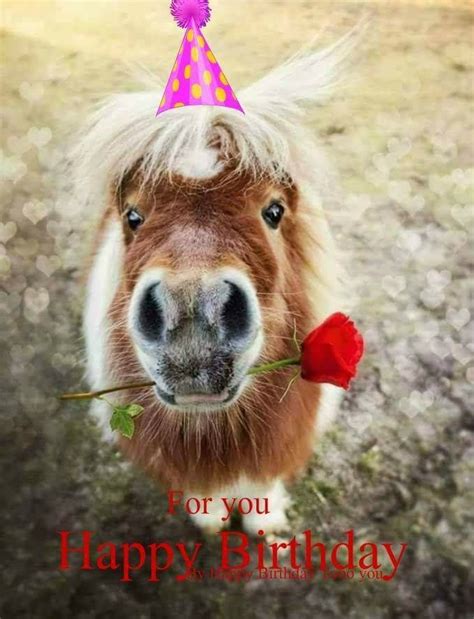 Pin by Alda Steijvers on Pony’s | Happy birthday horse, Happy birthday greetings, Birthday ...