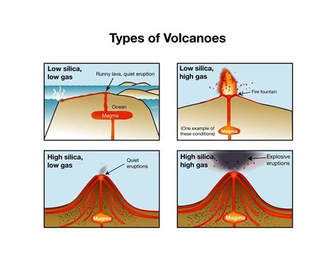 This picture shows how the amount of silica and gas affect the volcano's eruption. Silica is a ...