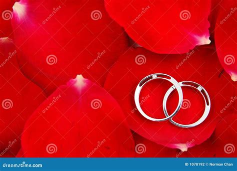 Wedding Rings In Red Rose Petals Stock Photography - Image: 1078192