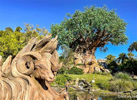 What You DIDN'T Know Was Carved into the Tree of Life at Disney's Animal Kingdom - AllEars.Net