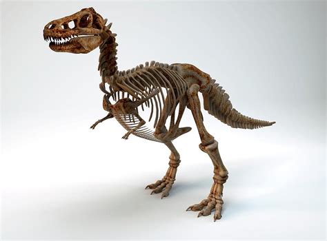 Tyrannosaurus Rex Dinosaur Skeleton Photograph by Paul Wootton/science Photo Library - Pixels