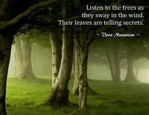 Listen to the trees as they sway in the wind. Their leaves are telling secrets. Nature Quotes ...