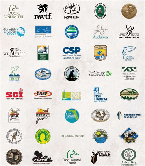 Salute to the Sportsman: What You Can Do to Empower Conservation - Bass Pro