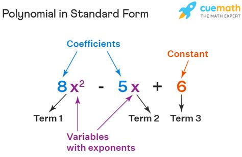 Polynomial in Standard Form - Definition, Method, Types, Examples