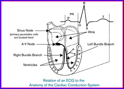 ELECTRONIC EQUIPMENT REPAIR CENTRE : MONOPHASIC AND BIPHASIC DEFIBRILLATION