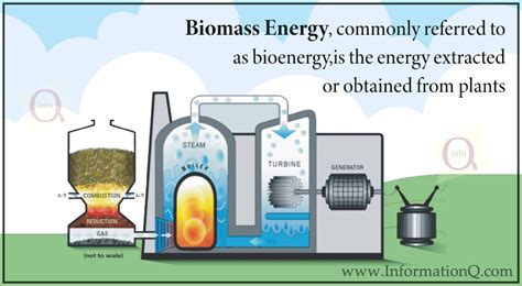 What is Biomass Energy? Types and How does Biomass Energy Work?