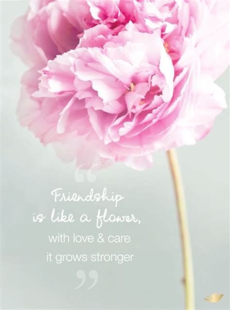 Friendship is like a flower, with love & care it grows stronger. | Flower quotes, Friendship ...