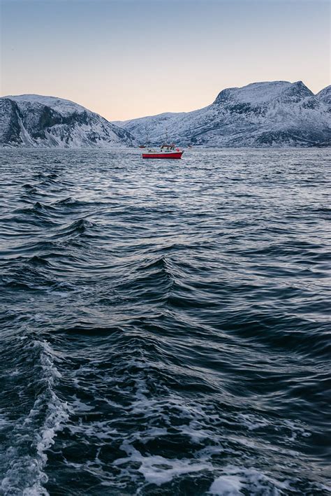 Red boat in on body of water, HD phone wallpaper | Peakpx