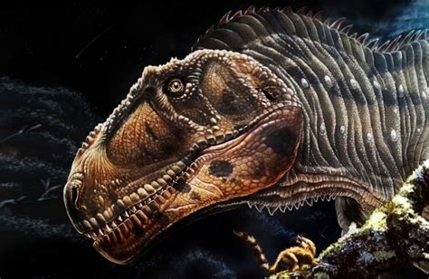 Meraxes Gigas Dinosaur Supplies Perception Into Why Many Prehistoric Meat-Eaters Had Tiny Arms ...