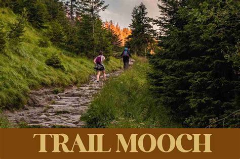 What are the 7 Tips for Hiking? Essential Guide for Beginners - Trail Mooch