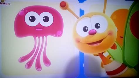 Flip and Flash | Sea Animals | BabyTV - YouTube