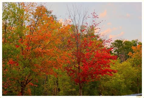 Fall Colors - Landscape - Photo.net