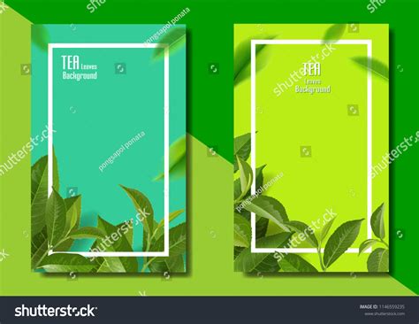 Green Tea Leaves Vector Nature Background Stock Vector (Royalty Free ...