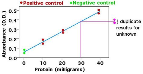 Standard curve - Alchetron, The Free Social Encyclopedia