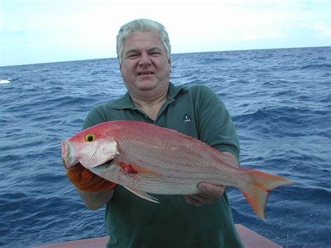 Silk Snapper – Mariner Consulting Services