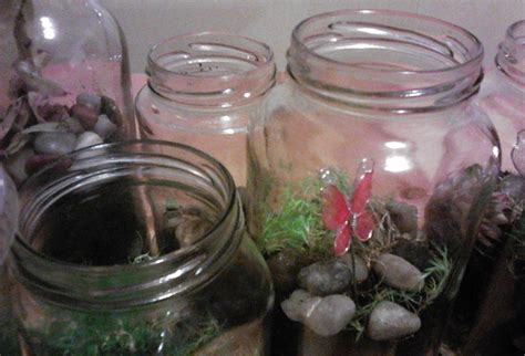 Moss Terrarium · A Terrarium · Version by Frosty Bubbles